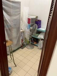 Seletaris (D27), Condominium #498229481